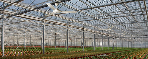 Вентилятор потолочный Vortice Nordik International Plus 160/60 Италия